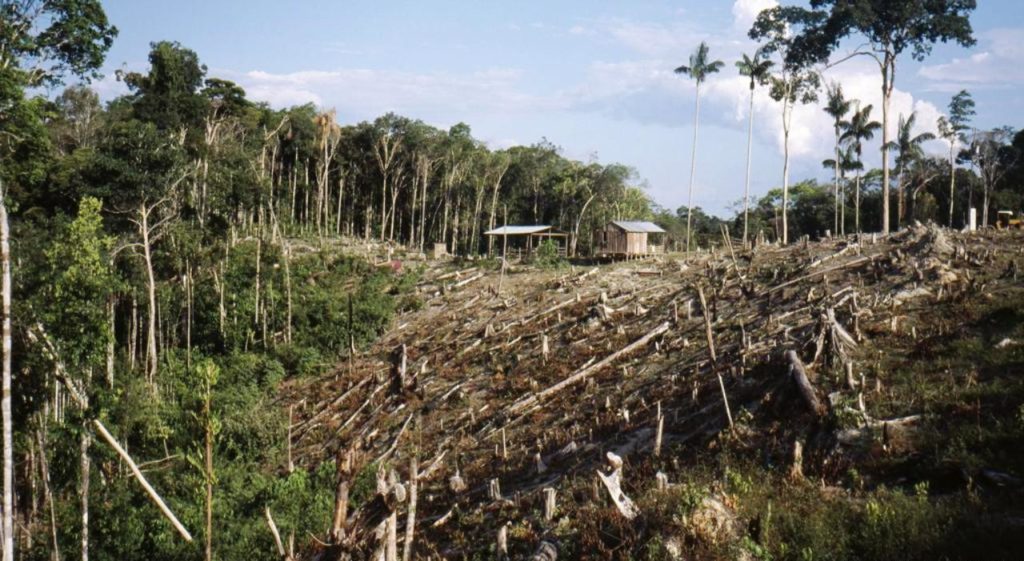 Jair Bolsonaro refuerza la devastación de la Amazonía brasileña