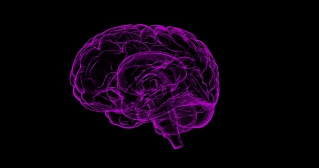 Cómo Funciona el Cerebro de un TDHA: Una Mirada Profunda